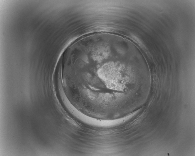 X0000067470891200604071151