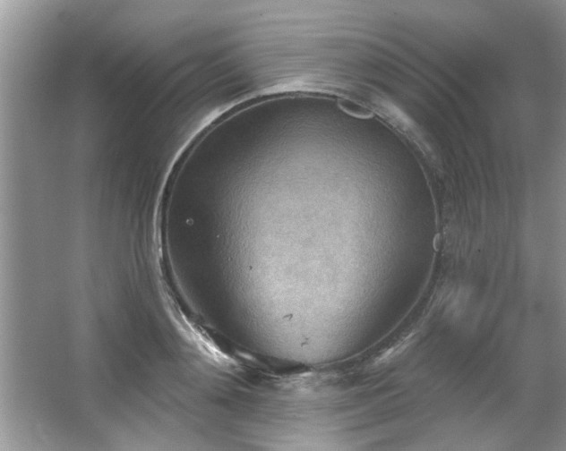 X0000067470892200604071151