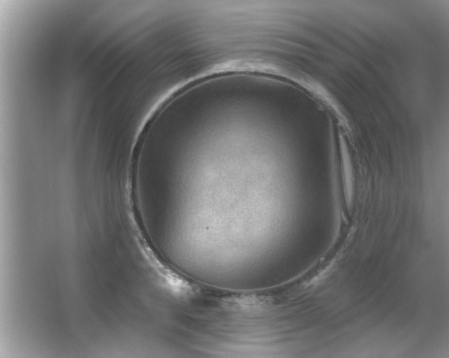 X0000067470896200604071151