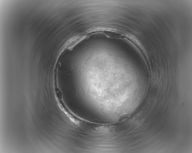 X0000067470898200604071151