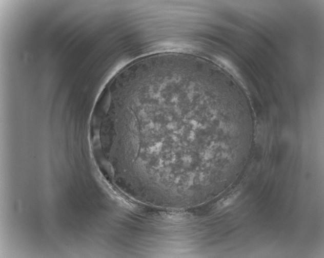 X0000067470899200604071151