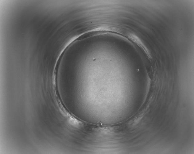 X0000067470900200604071151