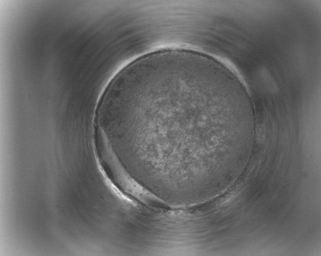 X0000067470903200604071151