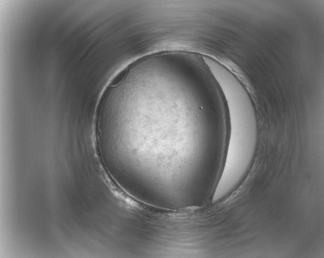 X0000067470904200604071151