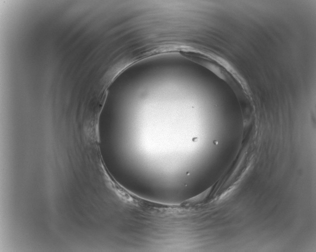 X0000067470905200604071151