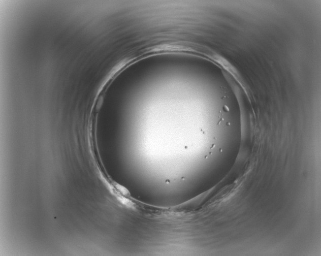 X0000067470909200604071151