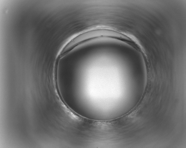 X0000067470910200604071151