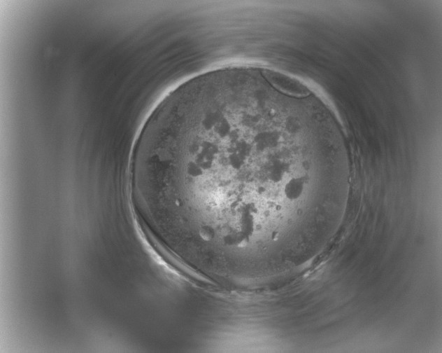 X0000067470911200604071151