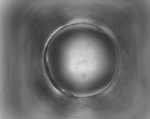 X0000067470912200604071151