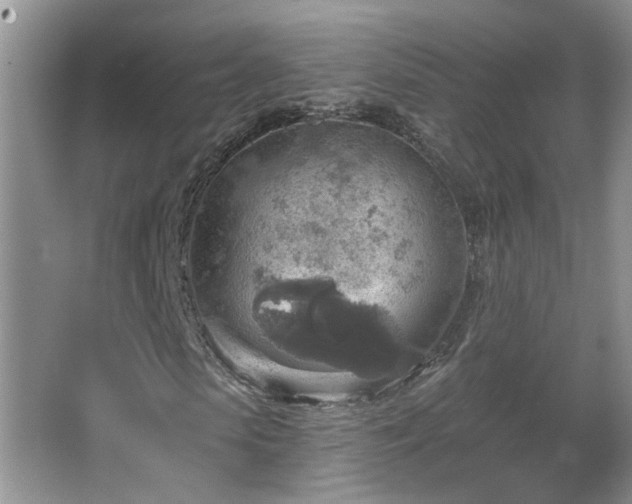 X0000067470913200604071150