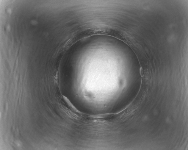 X0000067470916200604071150