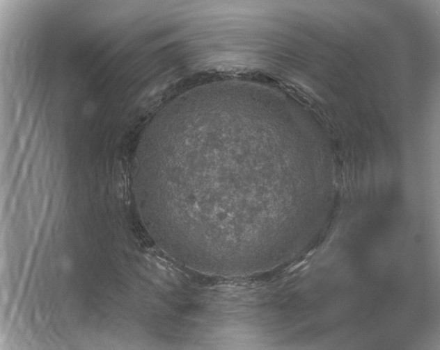 X0000067470917200604071150