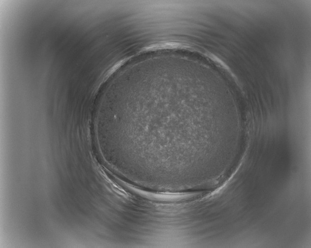 X0000067470921200604071150