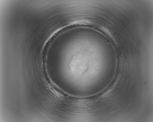 X0000067470923200604071150