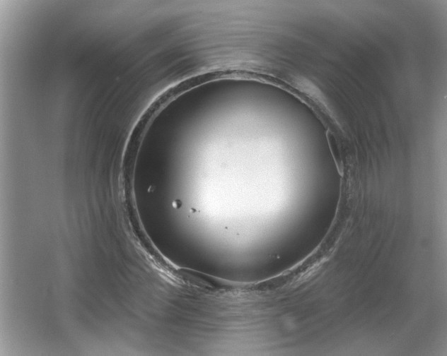 X0000067470924200604071150