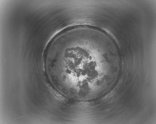 X0000067470925200604071150