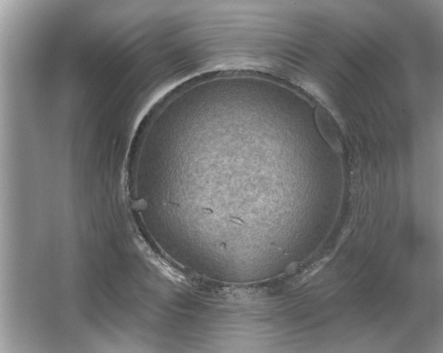 X0000067470928200604071150