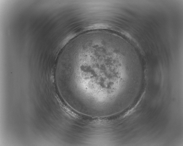 X0000067470929200604071150