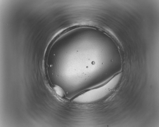 X0000067470932200604071150