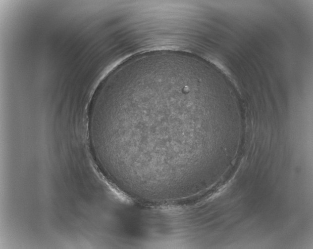 X0000067470933200604071150