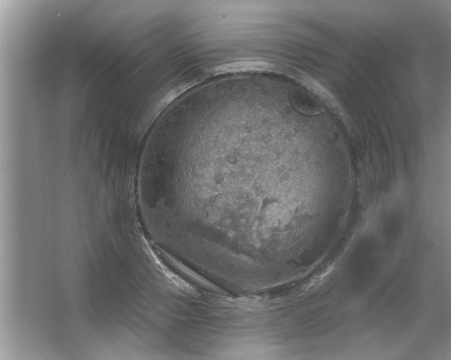 X0000067470937200604071150