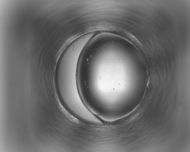 X0000067470938200604071150