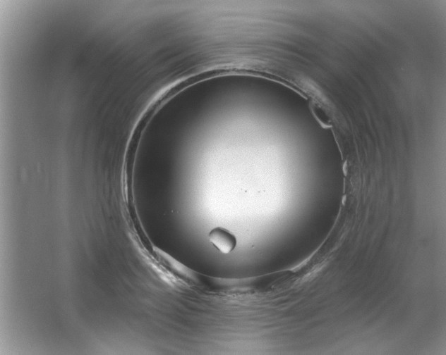 X0000067470940200604071150