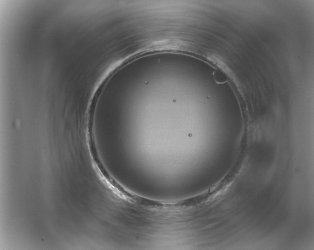 X0000067470941200604071150