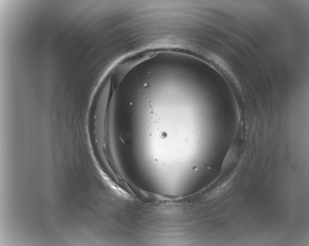 X0000067470942200604071150