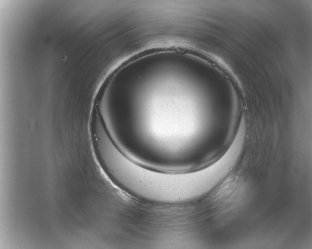 X0000067470943200604071150