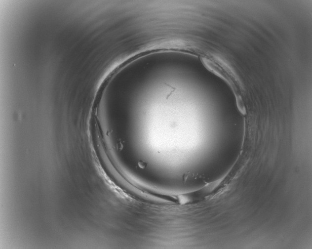 X0000067470944200604071150