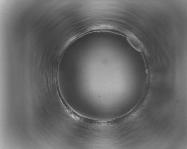 X0000067470945200604071150