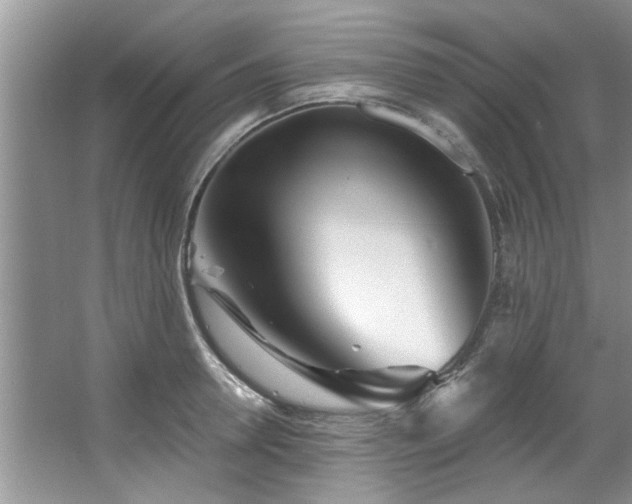 X0000067470946200604071151