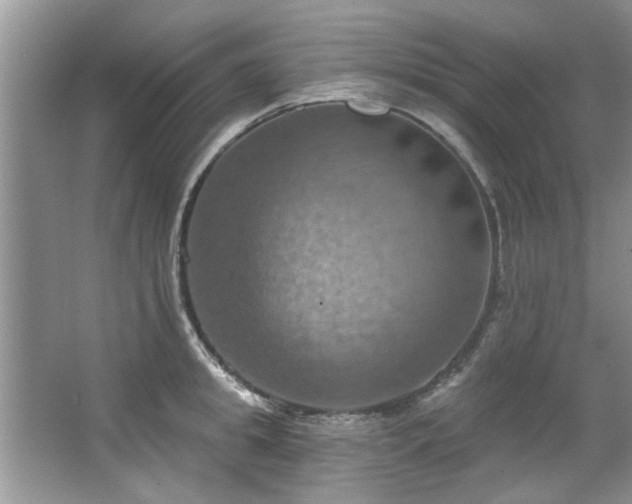 X0000067470949200604071151