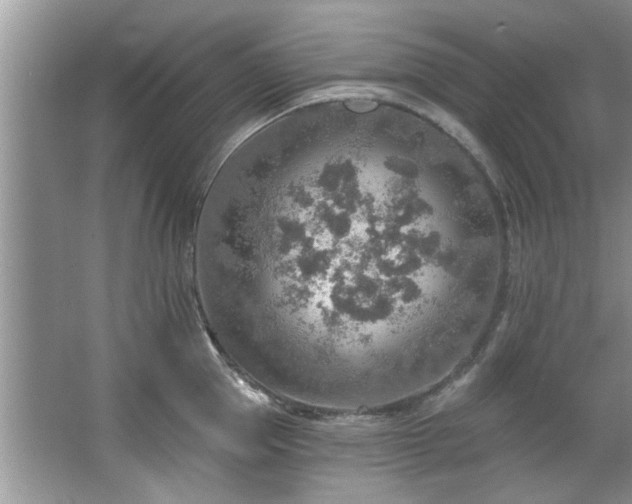 X0000067470953200604071151