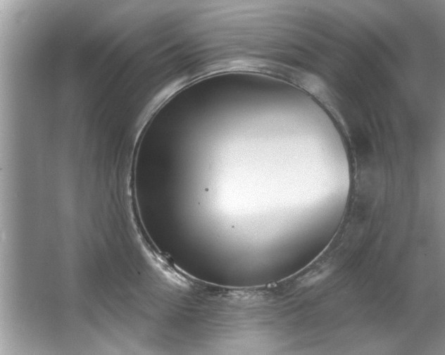 X0000067470954200604071151