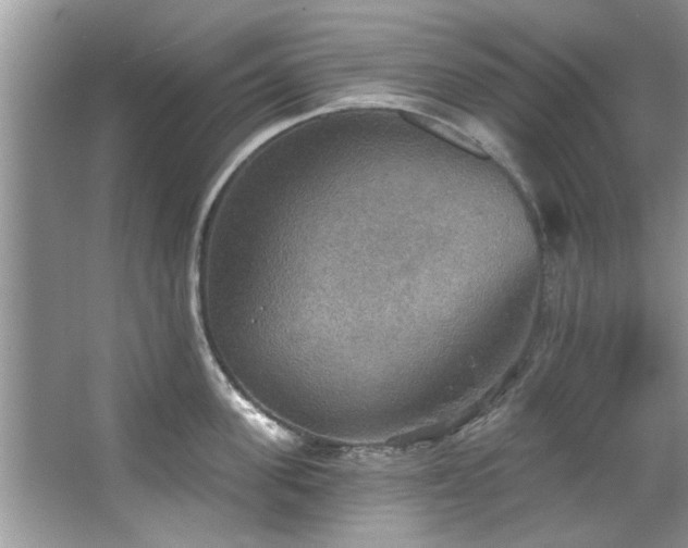 X0000067470955200604071151