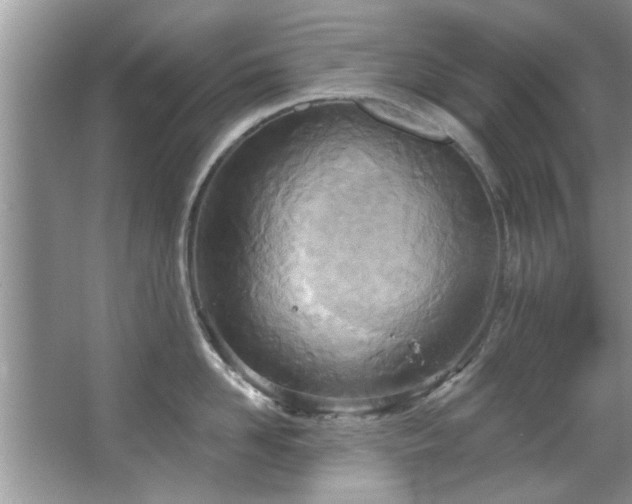 X0000067470958200604071151