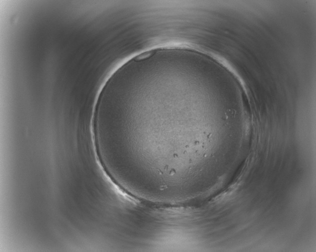 X0000067470959200604071151