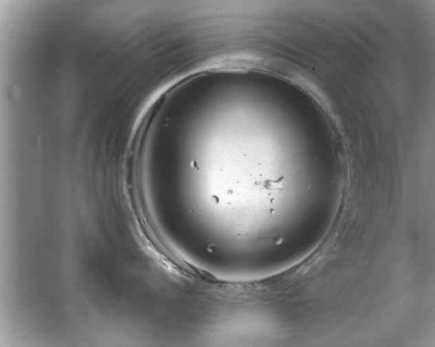 X0000067470960200604071151