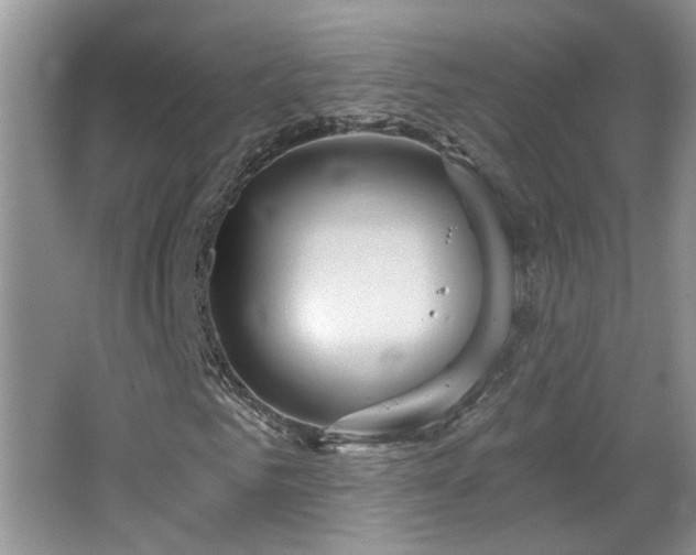 X0000067470961200604071150