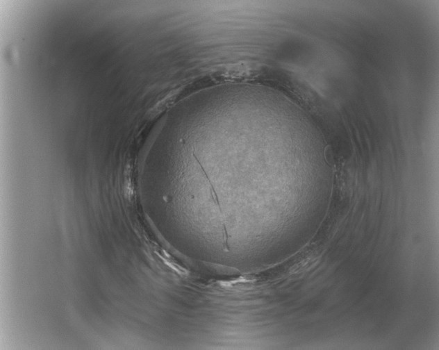 X0000067470962200604071150