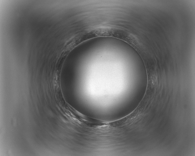 X0000067470964200604071150