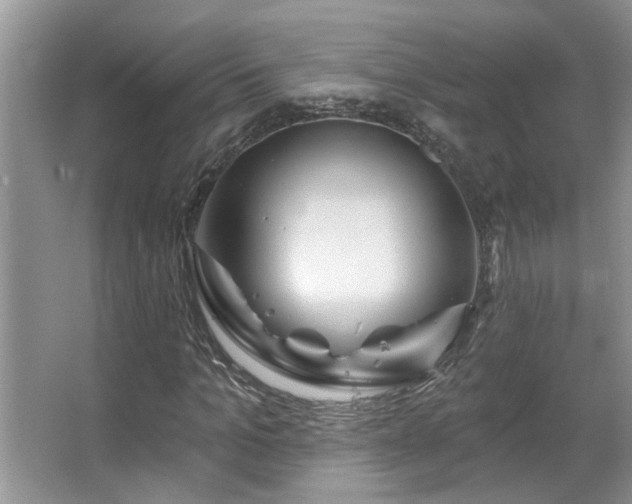 X0000067470965200604071150