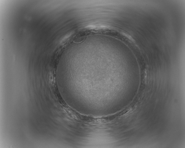 X0000067470966200604071150