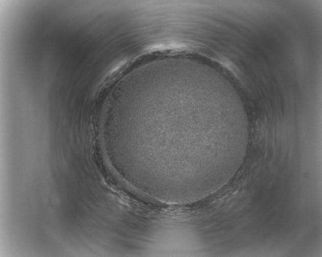 X0000067470967200604071150