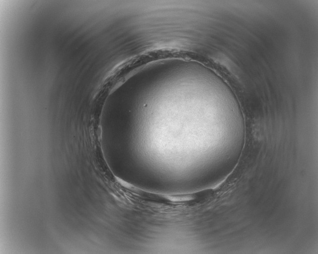 X0000067470968200604071150