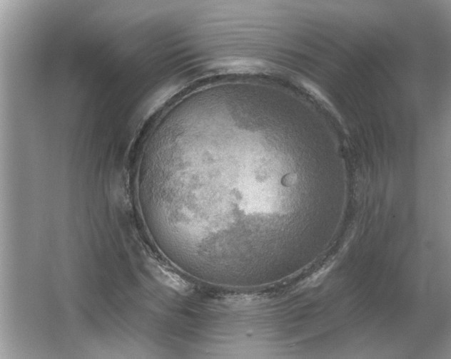 X0000067470970200604071150