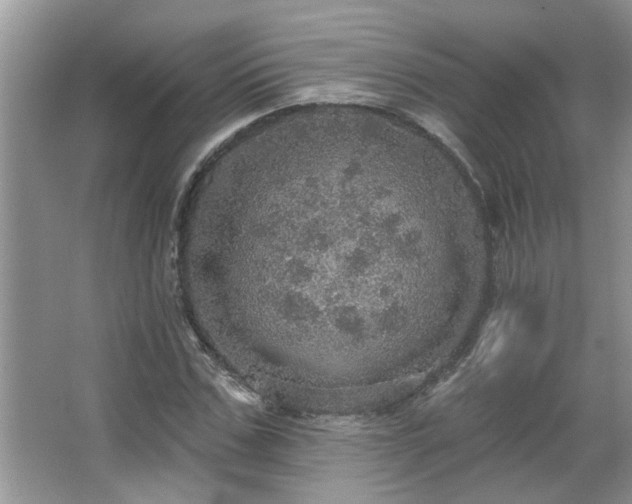 X0000067470971200604071150