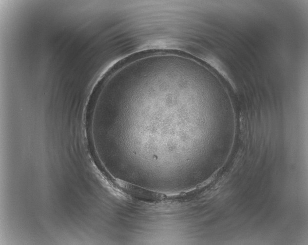 X0000067470972200604071150